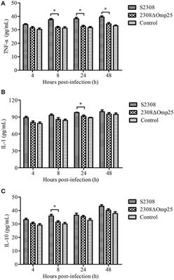 Outer Membrane Protein 25 of Brucella Activates Mitogen-Activated Protein Kinase Signal Pathway in Human Trophoblast Cells